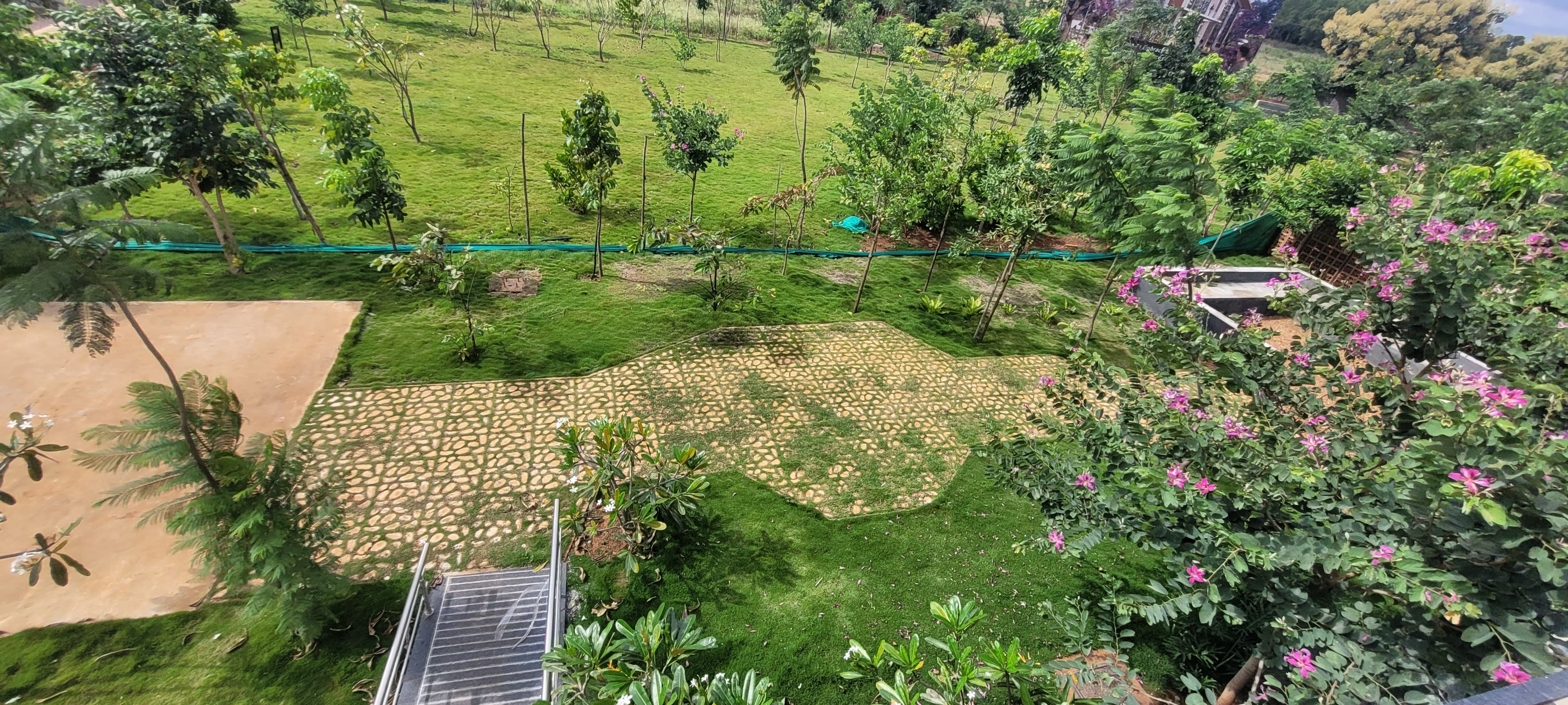Project 1 Image 6
